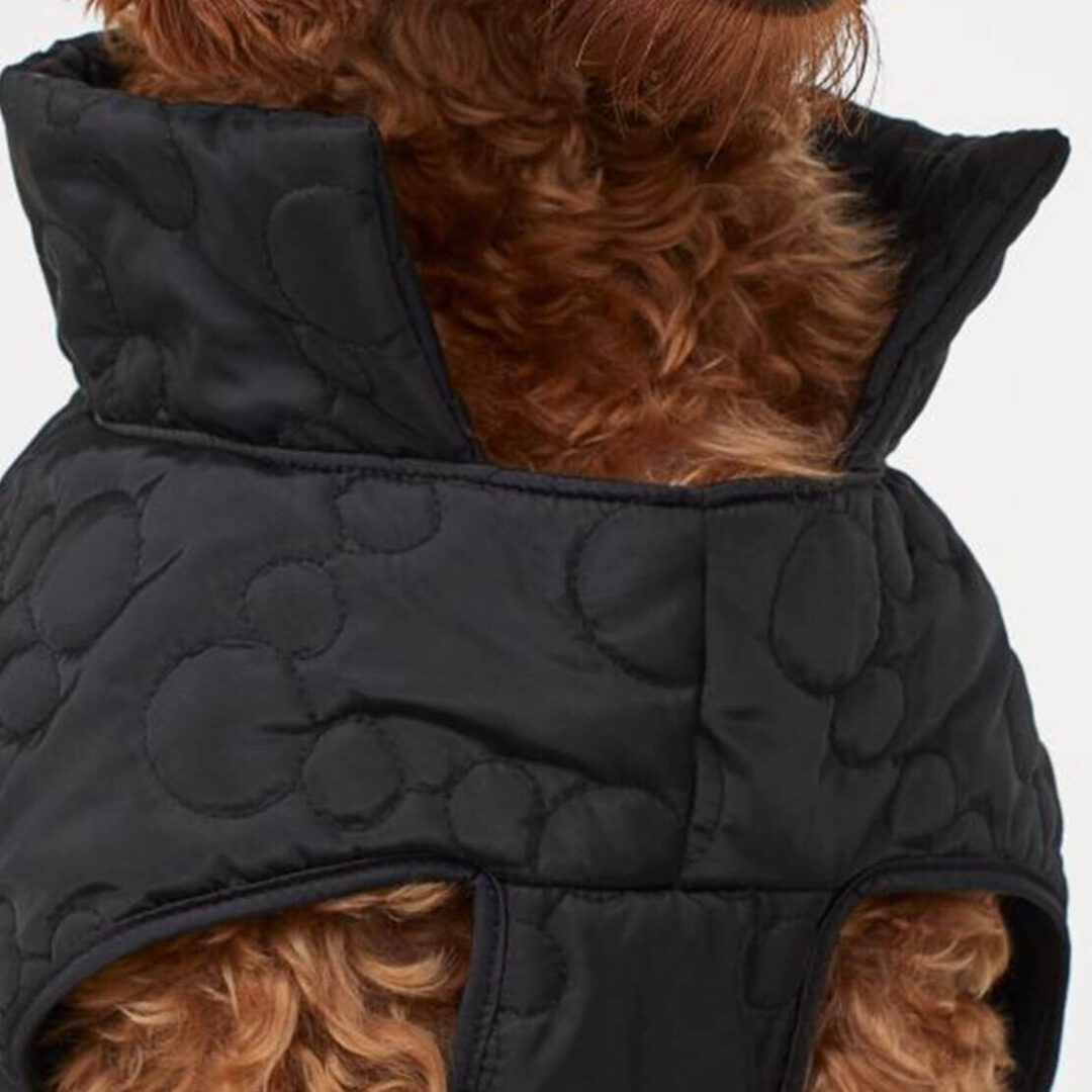 Dog Jacket - Bild 2