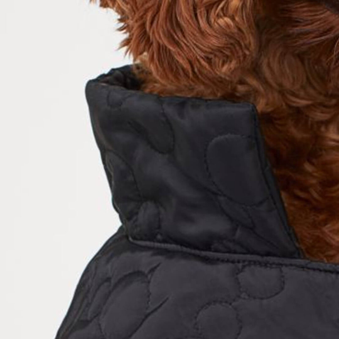 Dog Jacket - Bild 3