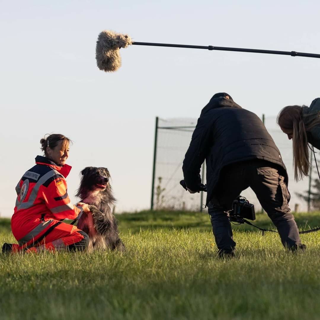 basics für Filmhunde