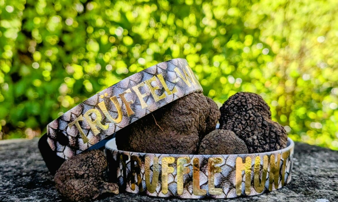 Trüffel in Band von Ursi